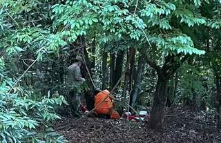 Apesar de p&acirc;nico, ataque &agrave; corredora no Parque dos Poderes &eacute; o &uacute;nico do ano