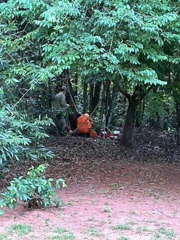 Apesar de p&acirc;nico, ataque &agrave; corredora no Parque dos Poderes &eacute; o &uacute;nico do ano