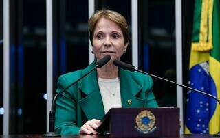 Congresso derruba vetos de Lula e flexibiliza regras do licenciamento ambiental