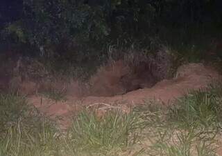 Dupla &eacute; internada por homic&iacute;dio brutal cometido quando ainda era adolescente