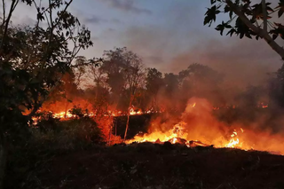 Para 87% dos leitores, multar mais &eacute; caminho contra o desmatamento