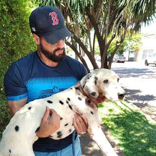 Campanha &quot;Dezembro Verde&quot; alerta para os maus-tratos a animais no fim do ano