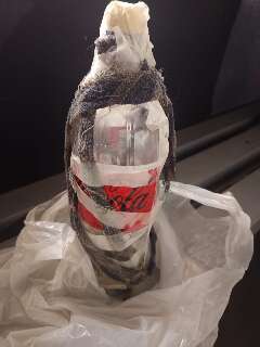 PM da reserva &eacute; presa com coquetel molotov ap&oacute;s incendiar objetos dentro de casa