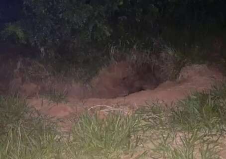 Dupla &eacute; internada por homic&iacute;dio brutal cometido quando ainda era adolescente