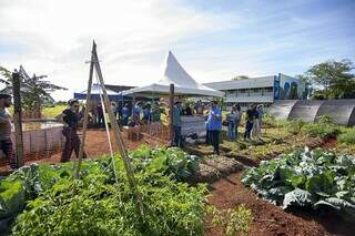 Parceria leva tecnologia social a comunidades indígenas em Dourados Parceria leva tecnologia social a comunidades indígenas em Dourados