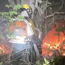 Controlado, fogo no Pantanal de Corumb&aacute; queimou 15 hectares
