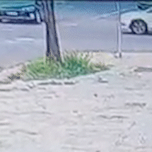 Acidente com 3 ve&iacute;culos interdita parcialmente Rua Ant&ocirc;nio Maria Coelho