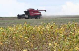 Setor rural ter&aacute; mais R$ 350 milh&otilde;es para financiar m&aacute;quinas agr&iacute;colas