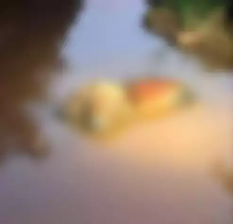 Homem &eacute; achado morto em c&oacute;rrego da Ernesto Geisel