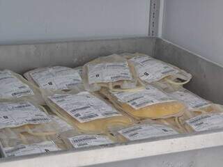 Entrega de 39 freezers dobrar&aacute; capacidade de armazenamento de plasma do Hemosul