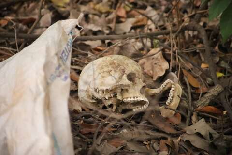 Cr&acirc;nio humano &eacute; achado por caminhoneiro pr&oacute;ximo ao Anel Rodovi&aacute;rio da Capital