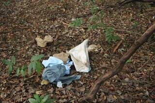 Cr&acirc;nio humano &eacute; achado por caminhoneiro pr&oacute;ximo ao Anel Rodovi&aacute;rio da Capital