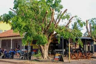Dani veio da Col&ocirc;mbia e fez de bar na Piratininga um recome&ccedil;o de vida