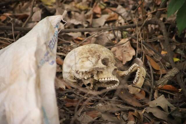 Cr&acirc;nio humano &eacute; achado por caminhoneiro pr&oacute;ximo ao Anel Rodovi&aacute;rio da Capital
