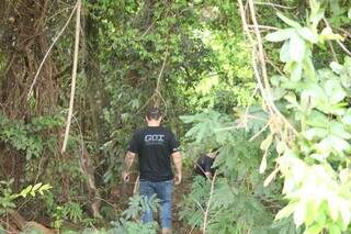 Cr&acirc;nio humano &eacute; achado por caminhoneiro pr&oacute;ximo ao Anel Rodovi&aacute;rio da Capital