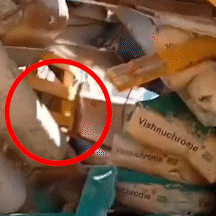 Acidente em curtume matou venezuelano e deixou outro em estado cr&iacute;tico