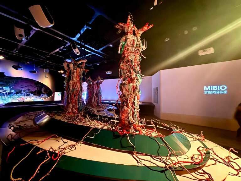 Obra feita com retalhos da avó ganha espaço em museu do Bioparque Pantanal