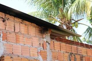 Sobrinho esfaqueia tio e incendeia casa após discussão por dívida de R$ 300 Sobrinho esfaqueia tio e incendeia casa após discussão por dívida de R$ 300