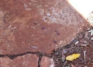 Sobrinho esfaqueia tio e incendeia casa após discussão por dívida de R$ 300 Sobrinho esfaqueia tio e incendeia casa após discussão por dívida de R$ 300