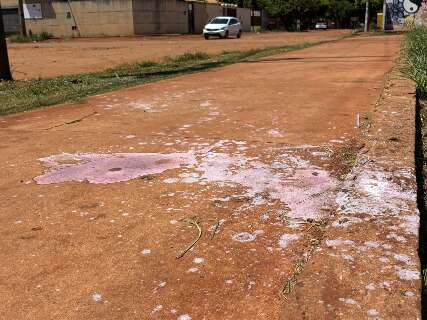 Filho nega que homem tenha assediado mulher antes de ser morto 