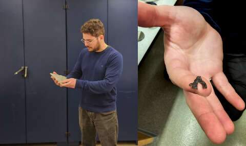 F&oacute;ssil encontrado em MS revela identidade dos primeiros l&iacute;quens da Terra