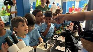 Capital lan&ccedil;a 7 pontos de descarte para evitar criadouros do mosquito da dengue