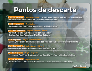 Capital lan&ccedil;a 7 pontos de descarte para evitar criadouros do mosquito da dengue