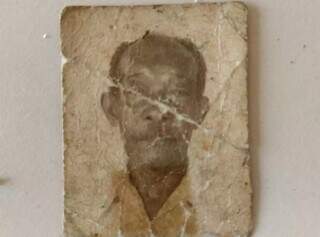 Jatob&aacute; gigante j&aacute; foi casa improvisada e abrigo na Guerra do Paraguai