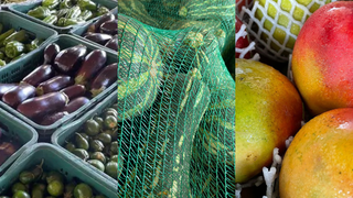 Berinjela, abobrinha verde e manga Tommy ficam mais baratas nesta semana