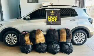 Ex-vereador paga fian&ccedil;a de R$ 3 mil ap&oacute;s ser preso com 257 kg de cabelo humano 