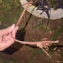 Fios de energia s&atilde;o furtados e &ldquo;Luzes do Cerrado&rdquo; se apagam em S&atilde;o Gabriel