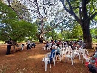 Jatob&aacute; gigante j&aacute; foi casa improvisada e abrigo na Guerra do Paraguai