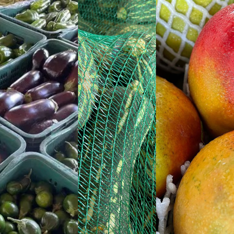 Berinjela, abobrinha verde e manga Tommy ficam mais baratas nesta semana