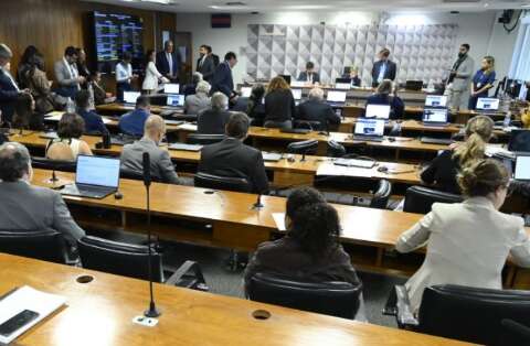 Parecer sobre Licen&ccedil;a Ambiental Especial avan&ccedil;a com mudan&ccedil;as no texto original