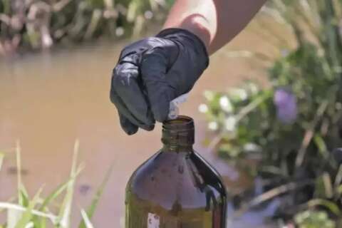 MPF aciona 29 empresas do setor agroqu&iacute;mico e Ibama por contamina&ccedil;&atilde;o no Pantanal