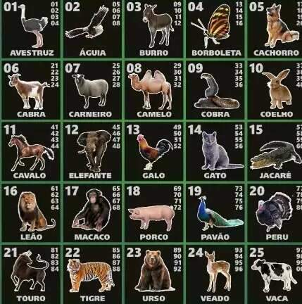 Empres&aacute;rio &eacute; solto, mas 19 continuam presos por explorar jogo do bicho