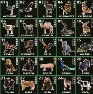 Empresário é solto, mas 19 continuam presos por explorar jogo do bicho Empresário é solto, mas 19 continuam presos por explorar jogo do bicho