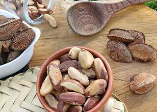 Farinha de castanha-do-brasil tem 60% mais prote&iacute;na que a de trigo