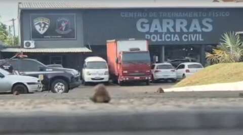 Corregedoria n&atilde;o vai investigar suposto esquema de desvio de muamba no Garras