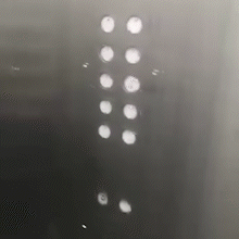 Elevador em mau estado assusta acompanhante no Hospital Regional 