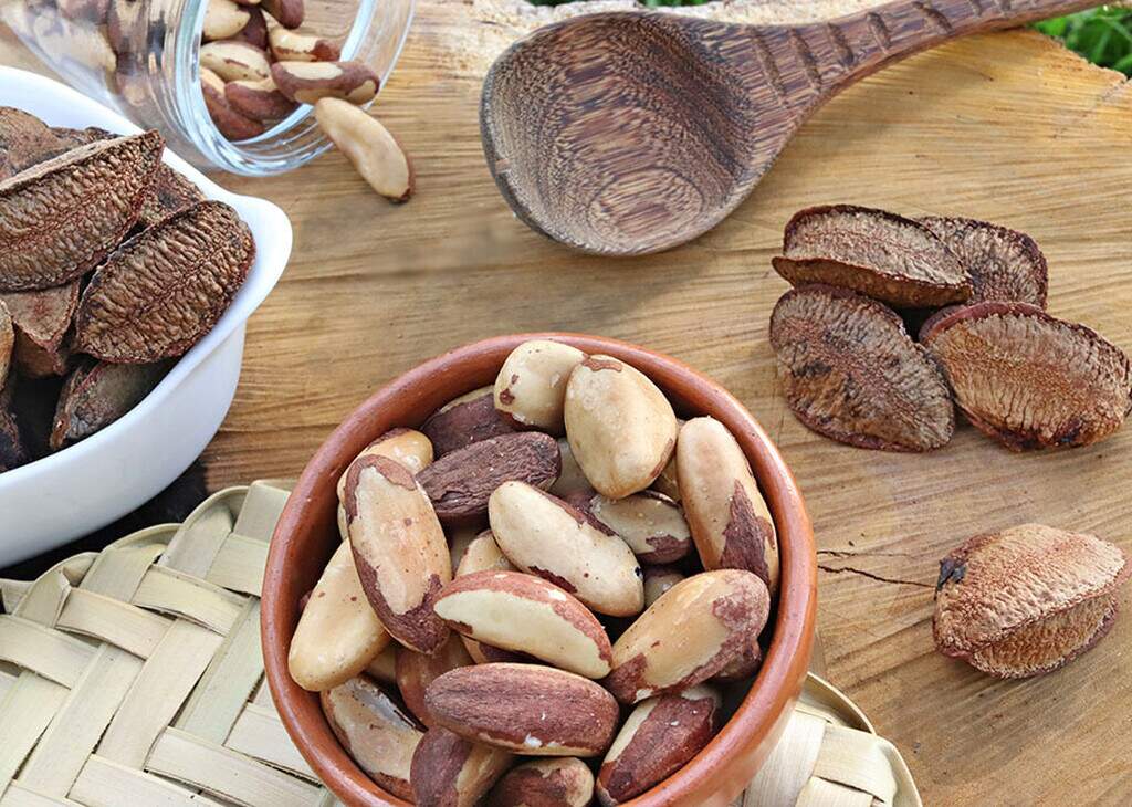 Farinha de castanha-do-brasil tem mais proteína que trigo, revela Embrapa