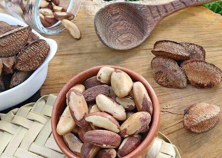 Farinha de castanha-do-brasil tem 60% mais prote&iacute;na que a de trigo