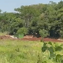 Moradores denunciam unidade que recebe lixo ao lado de &aacute;rea preservada