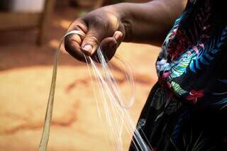 Após bombar com bananeira, Marilza já tem toneladas pedidas da Europa Após bombar com bananeira, Marilza já tem toneladas pedidas da Europa
