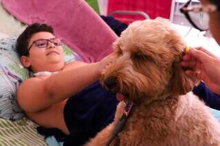 C&atilde;es bombeiros &quot;invadem&quot; hospital com direito a banda natalina