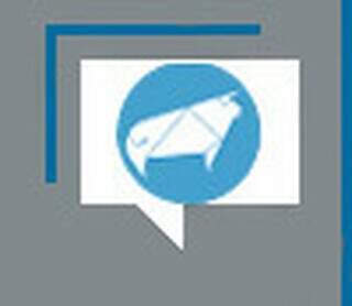 900 raças de vacas e 359 de cães, eles nos acompanham há 10.000 anos 900 raças de vacas e 359 de cães, eles nos acompanham há 10.000 anos