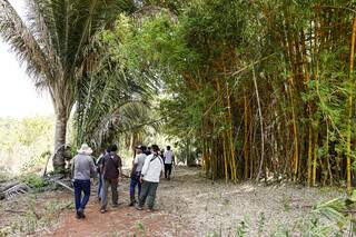Indígenas de Nioaque abrem aldeias para rota turística de ancestralidade Indígenas de Nioaque abrem aldeias para rota turística de ancestralidade