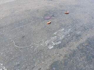 Acidente deixa motoqueiro e pedestre em estado grav&iacute;ssimo 