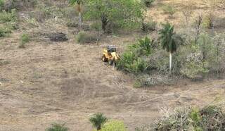 Pantanal caminha para o fim, com 97% de terras privadas e 82% menos &aacute;gua  