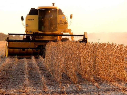 Agro impulsiona PIB brasileiro com alta de 11,6% at&eacute; terceiro trimestre